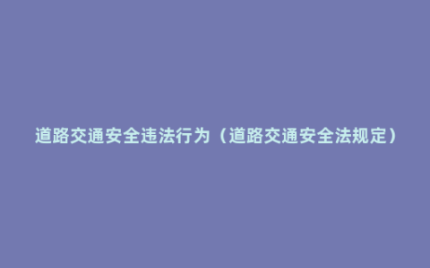 道路交通安全违法行为（道路交通安全法规定）