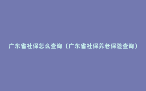 广东省社保怎么查询（广东省社保养老保险查询）