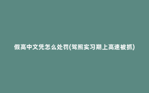 假高中文凭怎么处罚(驾照实习期上高速被抓)