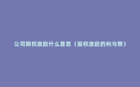 公司期权激励什么意思（股权激励的利与弊）