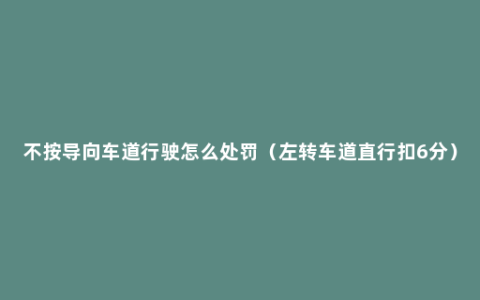 不按导向车道行驶怎么处罚（左转车道直行扣6分）