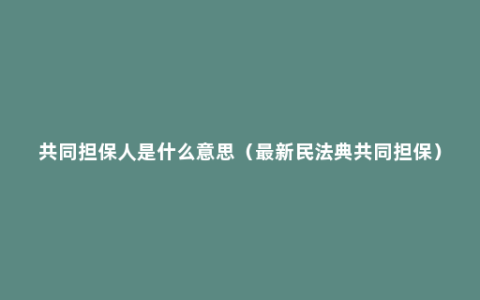 共同担保人是什么意思（最新民法典共同担保）