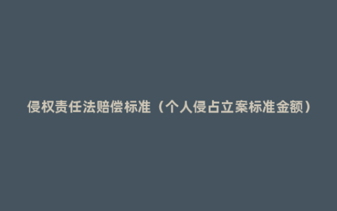 侵权责任法赔偿标准（个人侵占立案标准金额）