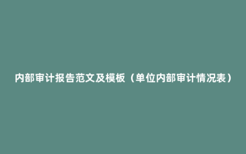 内部审计报告范文及模板（单位内部审计情况表）