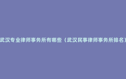 武汉专业律师事务所有哪些（武汉民事律师事务所排名）