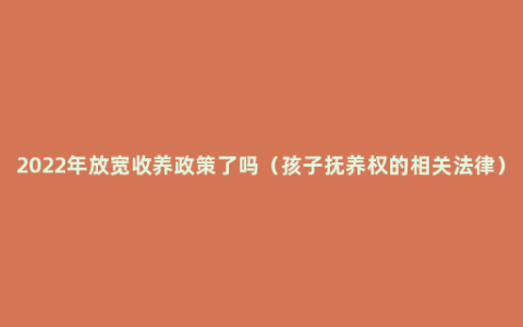 2022年放宽收养政策了吗（孩子抚养权的相关法律）