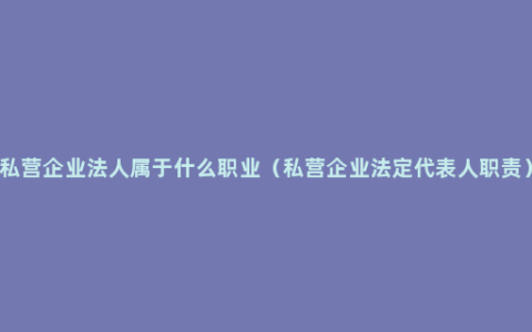 私营企业法人属于什么职业（私营企业法定代表人职责）