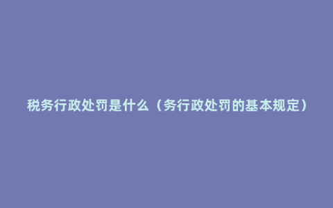 税务行政处罚是什么（务行政处罚的基本规定）