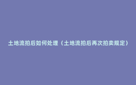 土地流拍后如何处理（土地流拍后再次拍卖规定）