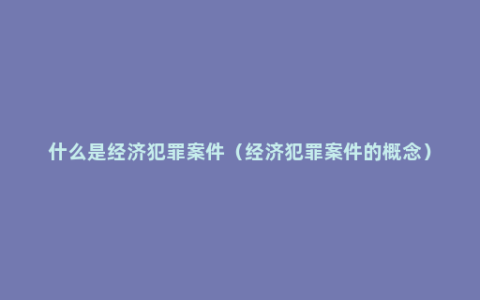 什么是经济犯罪案件（经济犯罪案件的概念）