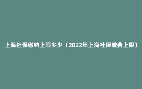 上海社保缴纳上限多少（2022年上海社保缴费上限）