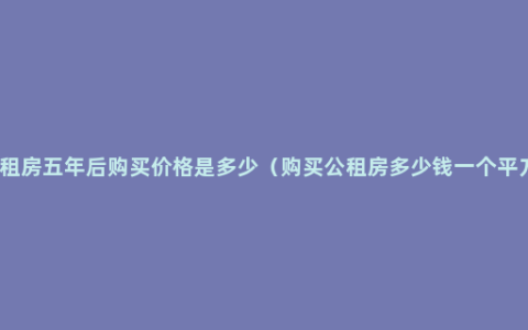 公租房五年后购买价格是多少（购买公租房多少钱一个平方）