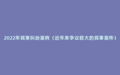 2022年民事纠纷案例（近年来争议较大的民事案件）