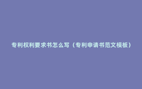 专利权利要求书怎么写（专利申请书范文模板）