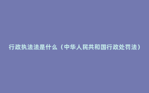 行政执法法是什么（中华人民共和国行政处罚法）