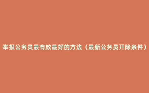 举报公务员最有效最好的方法（最新公务员开除条件）