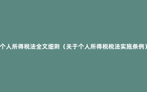 个人所得税法全文细则（关于个人所得税税法实施条例）