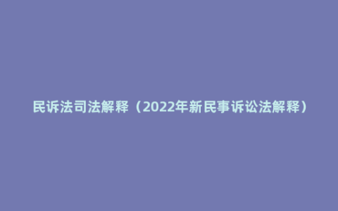 民诉法司法解释（2022年新民事诉讼法解释）