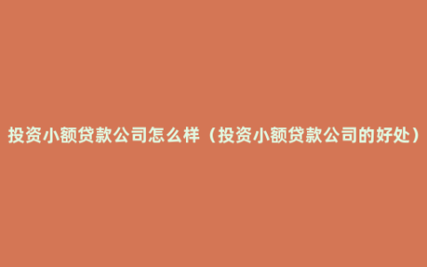 投资小额贷款公司怎么样（投资小额贷款公司的好处）