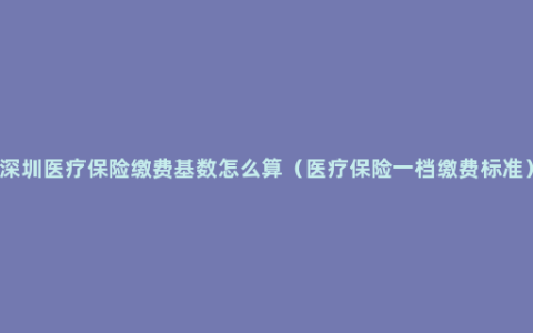 深圳医疗保险缴费基数怎么算（医疗保险一档缴费标准）