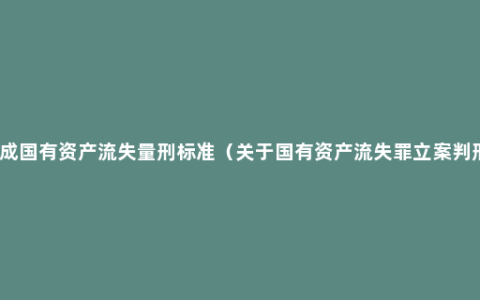 造成国有资产流失量刑标准（关于国有资产流失罪立案判刑）