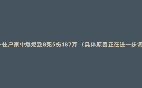 大连一住户家中爆燃致8死5伤487万 （具体原因正在进一步调查中）