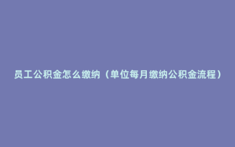 员工公积金怎么缴纳（单位每月缴纳公积金流程）