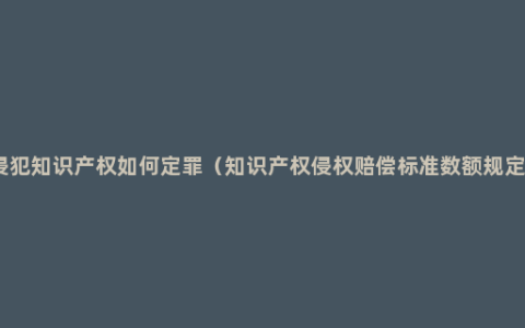 侵犯知识产权如何定罪（知识产权侵权赔偿标准数额规定）