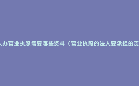 个人办营业执照需要哪些资料（营业执照的法人要承担的责任）