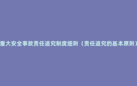 重大安全事故责任追究制度细则（责任追究的基本原则）