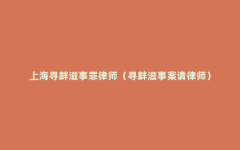 上海寻衅滋事罪律师（寻衅滋事案请律师）