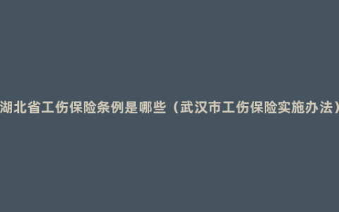 湖北省工伤保险条例是哪些（武汉市工伤保险实施办法）