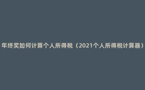 年终奖如何计算个人所得税（2021个人所得税计算器）