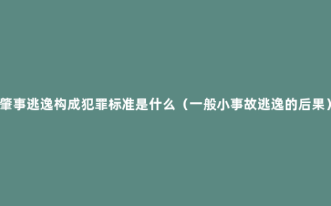 肇事逃逸构成犯罪标准是什么（一般小事故逃逸的后果）