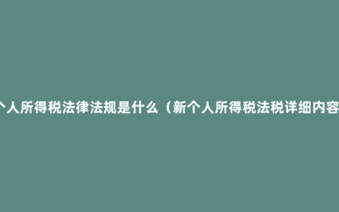 个人所得税法律法规是什么（新个人所得税法税详细内容）