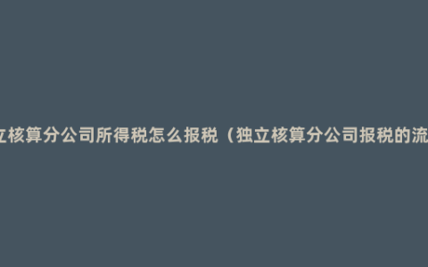 独立核算分公司所得税怎么报税（独立核算分公司报税的流程）