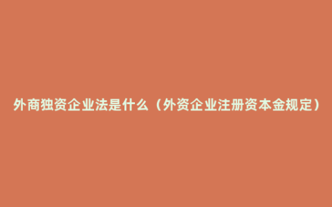 外商独资企业法是什么（外资企业注册资本金规定）