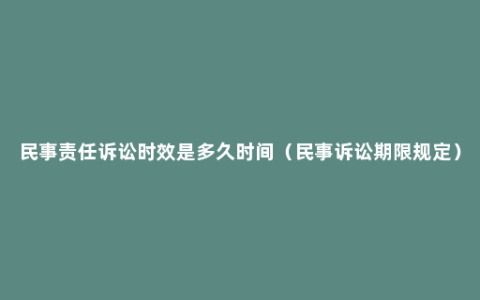 民事责任诉讼时效是多久时间（民事诉讼期限规定）