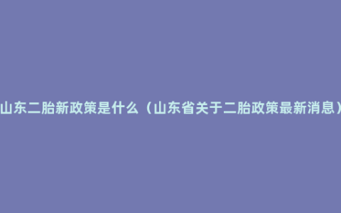 山东二胎新政策是什么（山东省关于二胎政策最新消息）