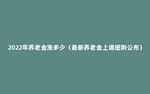 2022年养老金涨多少（最新养老金上调细则公布）