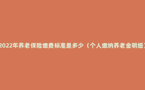 2022年养老保险缴费标准是多少（个人缴纳养老金明细）