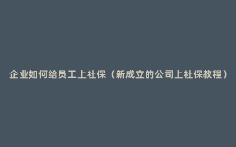 企业如何给员工上社保（新成立的公司上社保教程）