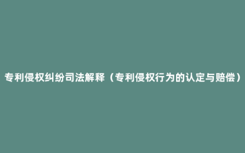 专利侵权纠纷司法解释（专利侵权行为的认定与赔偿）