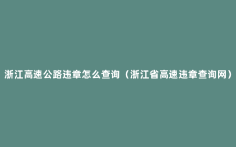 浙江高速公路违章怎么查询（浙江省高速违章查询网）