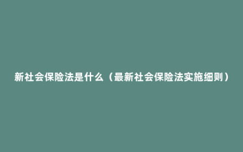 新社会保险法是什么（最新社会保险法实施细则）