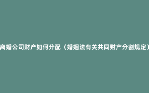 离婚公司财产如何分配（婚姻法有关共同财产分割规定）