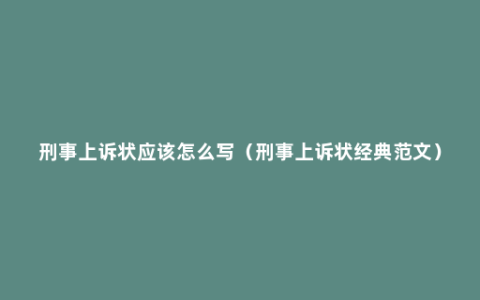 刑事上诉状应该怎么写（刑事上诉状经典范文）