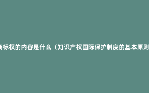 商标权的内容是什么（知识产权国际保护制度的基本原则）