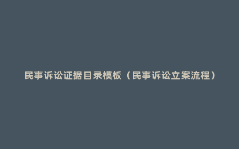 民事诉讼证据目录模板（民事诉讼立案流程）