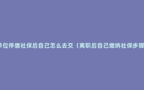 单位停缴社保后自己怎么去交（离职后自己缴纳社保步骤）